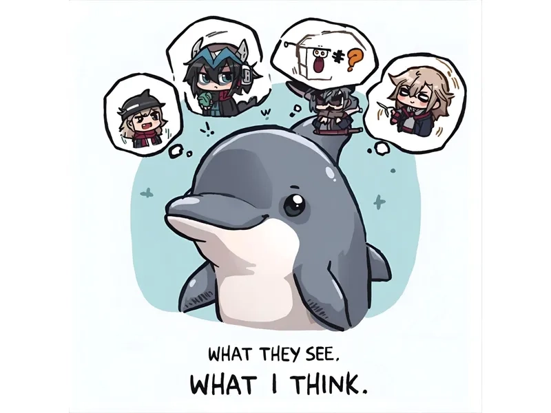 Khám phá bộ sưu tập meme cá heo đầy đủ