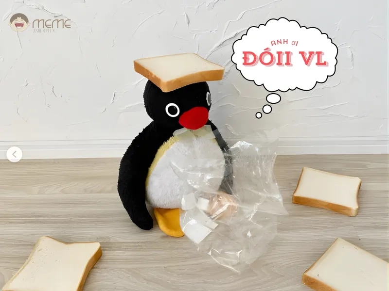 Xem meme chim cánh cụt hoạt hình cực vui nhộn