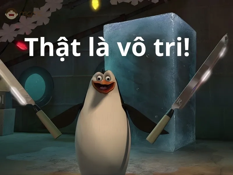 Chia sẻ hình ảnh meme chim cánh cụt đẹp và độc đáo