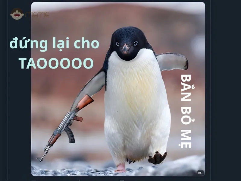 Meme chim cánh cụt cute này khiến ai cũng phải thả tim