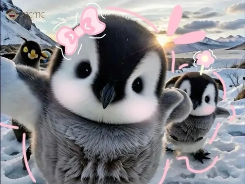 Dùng ngay hình meme chim cánh cụt làm avatar