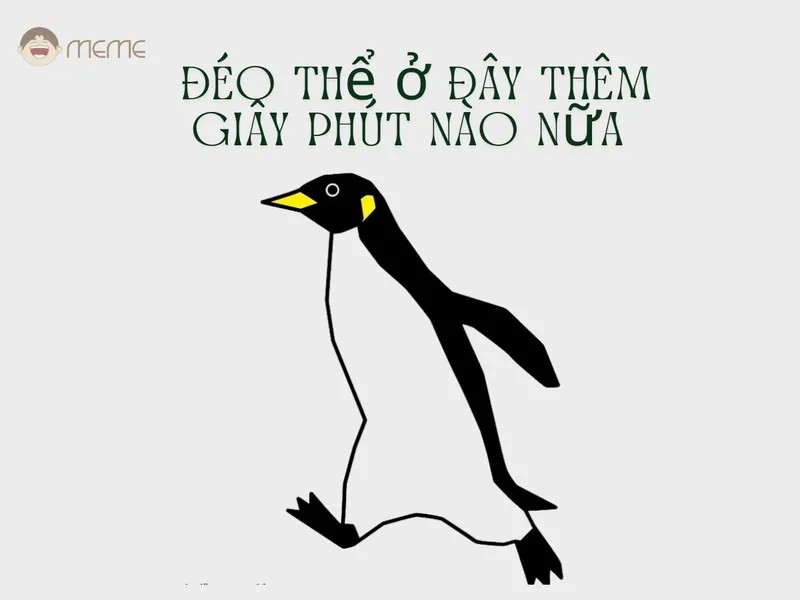 Ảnh meme chim cánh cụt 4K siêu rõ nét làm nền