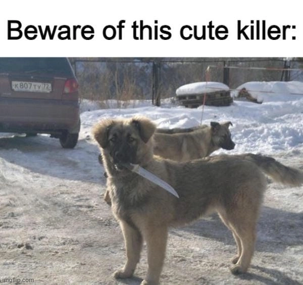 Meme chó cầm dao với biểu cảm cực lầy