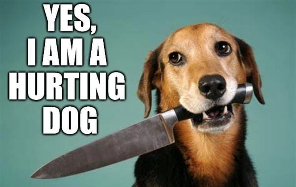 Meme chó cầm dao vui nhộn mang vibe tinh nghịch