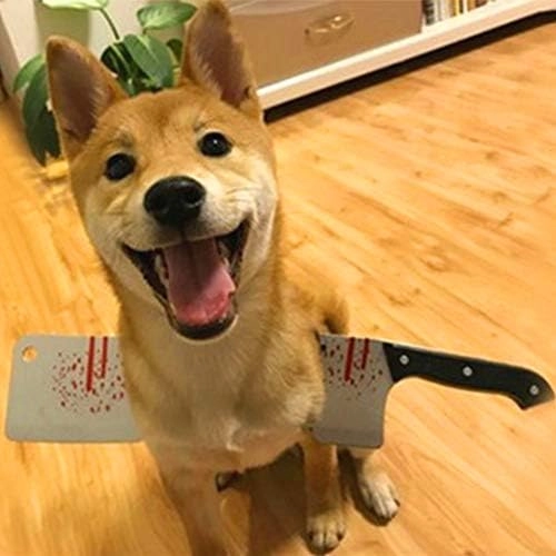 Meme chó cầm dao giải trí nhẹ nhàng vui vẻ