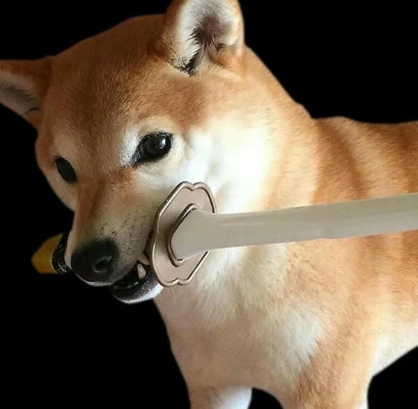 Meme chó cầm dao dọa theo kiểu hài hước