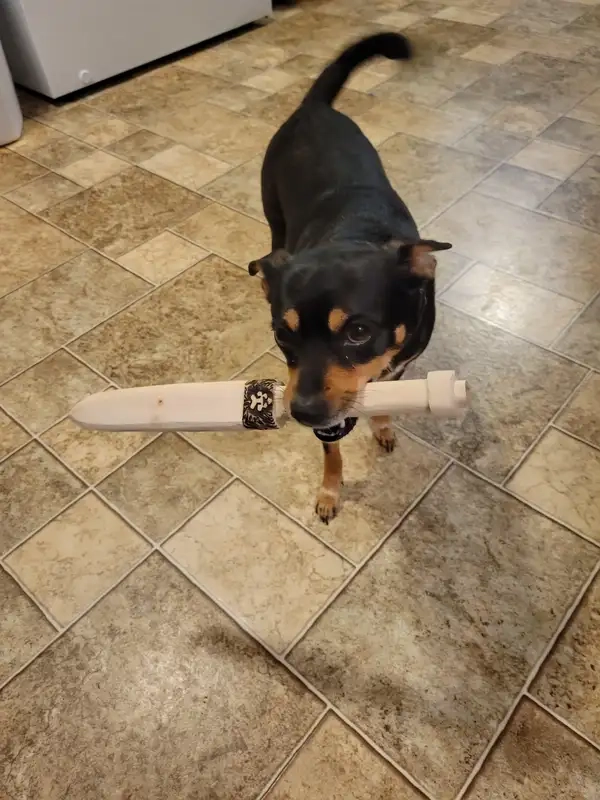 Meme chó cầm dao troll biểu cảm cực mặn