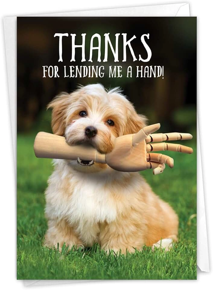 Ảnh meme chó cảm ơn mang lại cảm giác gần gũi