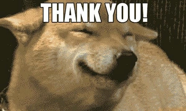 Hình ảnh meme chó cảm ơn tạo ấn tượng vui tươi