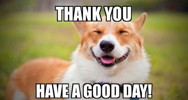 Meme chó cảm ơn anime với nét vẽ mềm và duyên