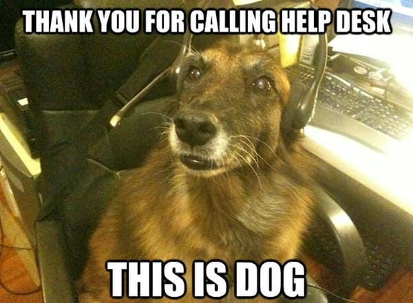 Meme chó cảm ơn gốc giữ trọn nét biểu cảm chuẩn