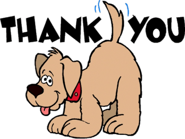 Meme chó cảm ơn troll mang phong cách hài nhẹ