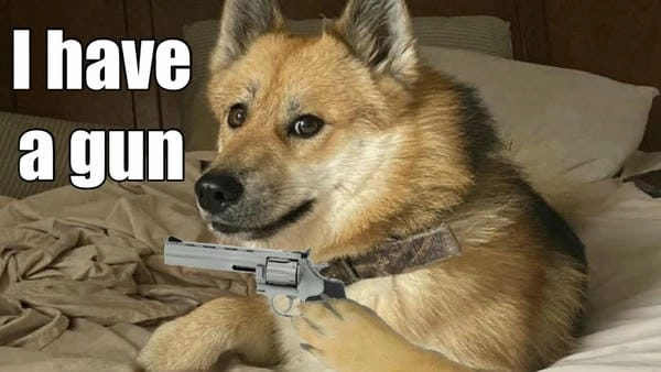 Meme chó cầm súng bá đạo khiến xem là cười