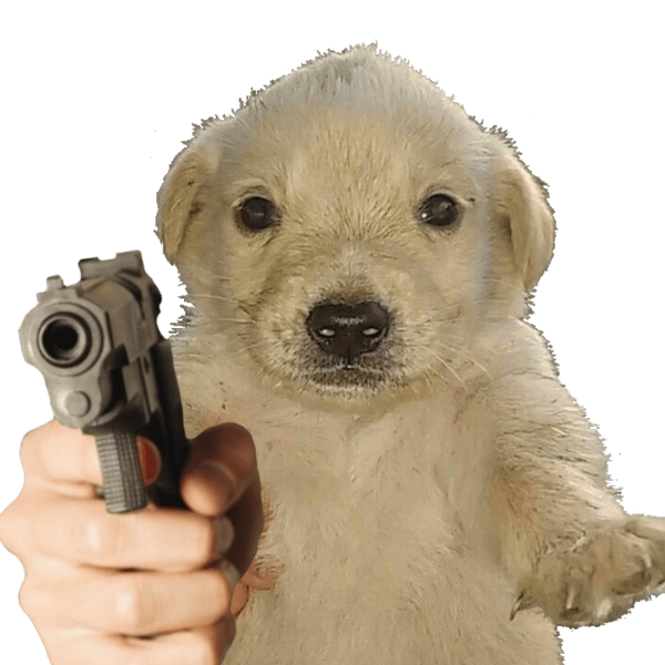Meme chó cầm súng troll nhìn rất duyên