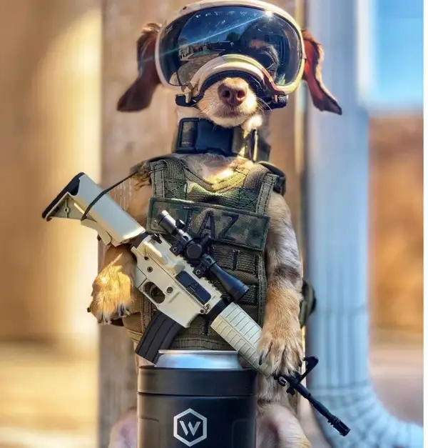 Meme chó cầm súng poster nổi bật phong cách