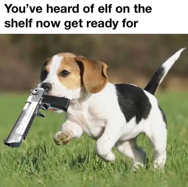 Meme chó cầm súng độc lạ theo kiểu hài hước