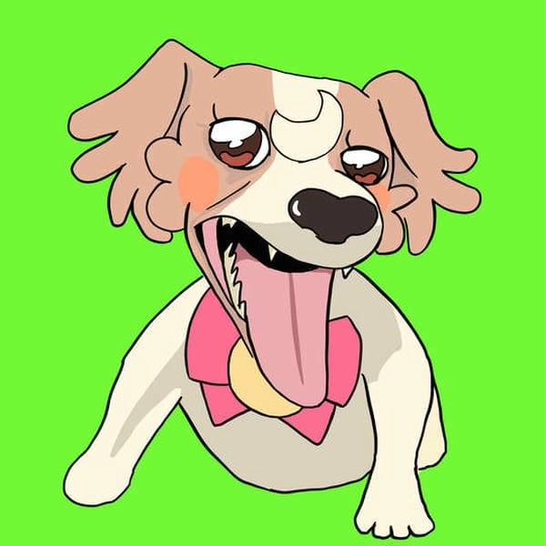 Meme chó cười mới nhất đang lan truyền mạnh