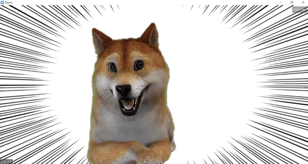 Meme chó cười lầy mang tinh thần tấu hài mạnh