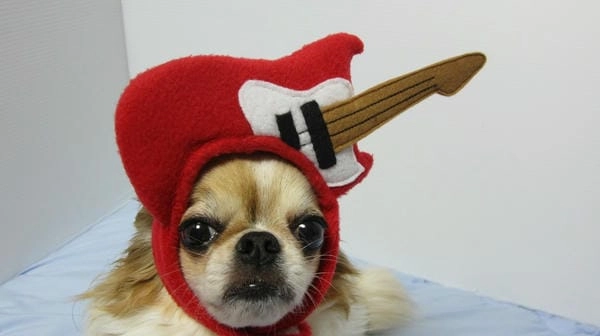 Meme chó cute giải trí giúp tinh thần tươi mới