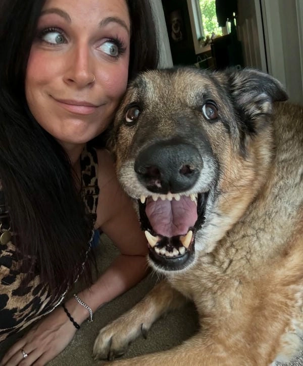 Meme chó gào thét bựa cực chất và độc lạ