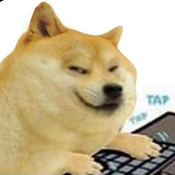 Meme chó lườm avatar siêu hợp dùng pha cà khịa