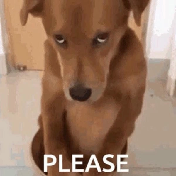 Meme chó xin lỗi avatar phù hợp nhiều cảm xúc