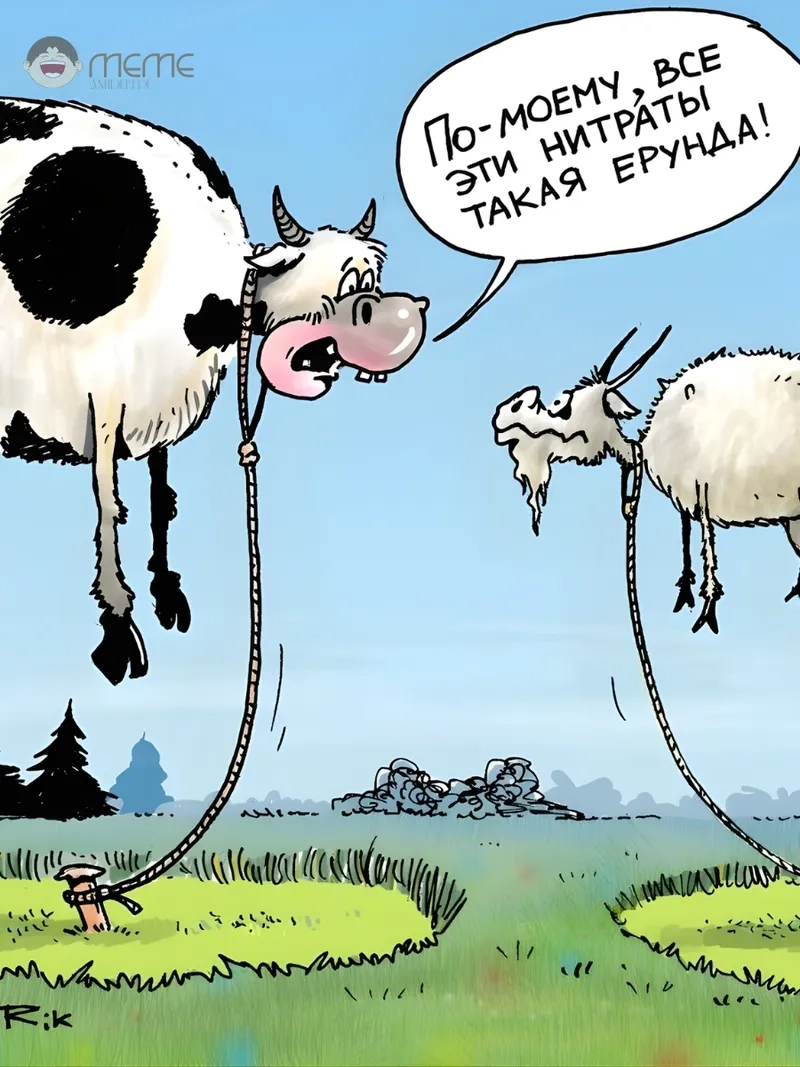 Đừng bỏ lỡ kho ảnh meme con bò này nha