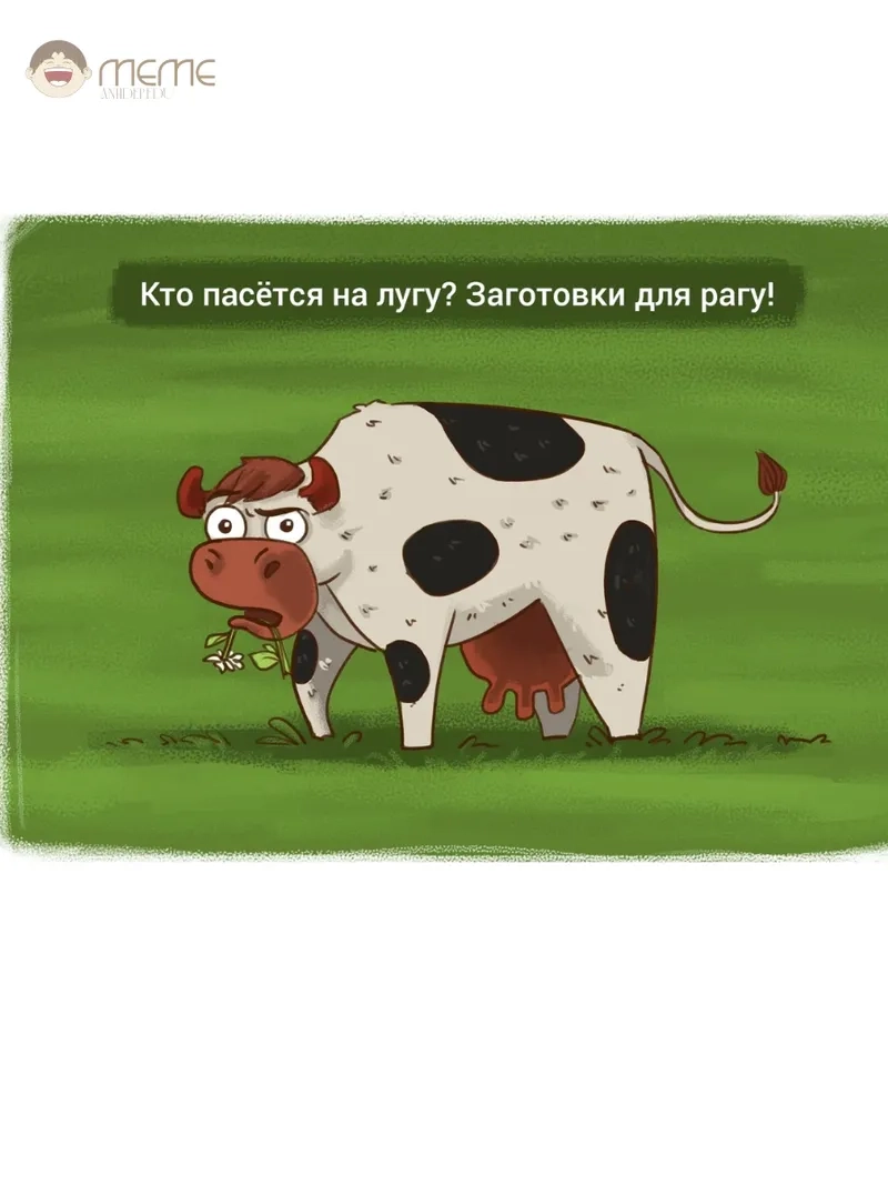 Cười sảng khoái với meme con bò hài hước lắm