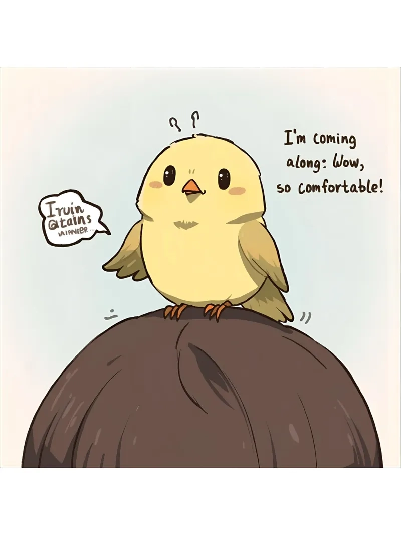 Xu hướng meme con chim TikTok đang rất hot