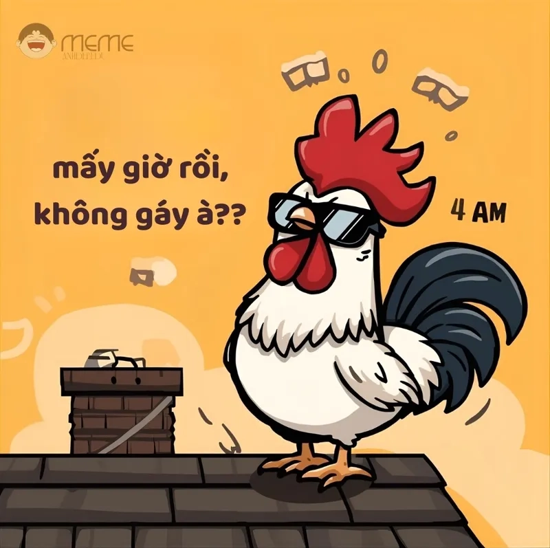 Chia sẻ hình ảnh meme con gà đẹp và độc đáo