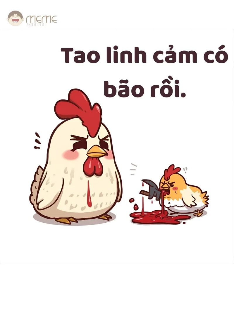 Sưu tầm ảnh meme con gà HD chất lượng cao