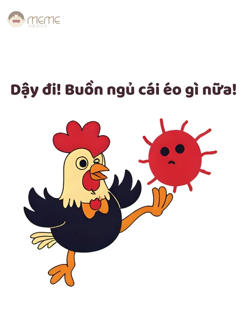 Tải ảnh meme con gà về để troll bạn
