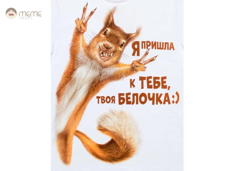 Xem meme con sóc hoạt hình cực vui nhộn