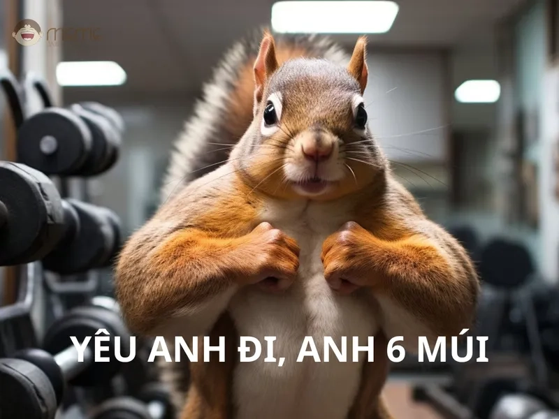 Khám phá bộ sưu tập meme con sóc đầy đủ