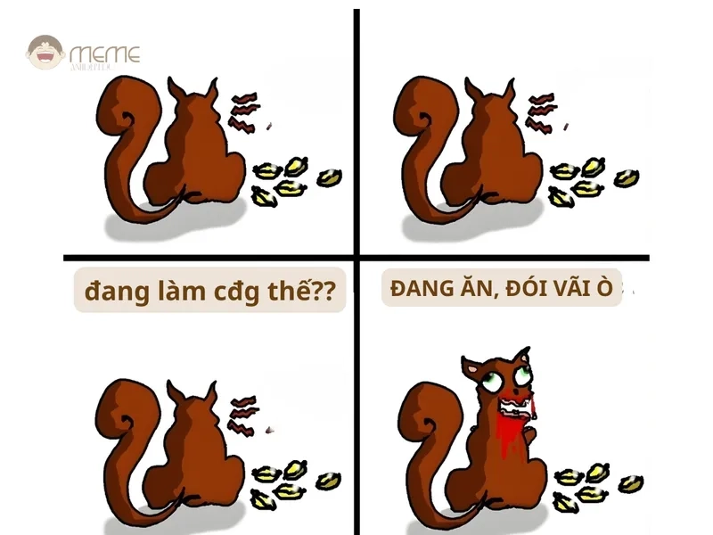 Chia sẻ hình ảnh meme con sóc đẹp và độc đáo