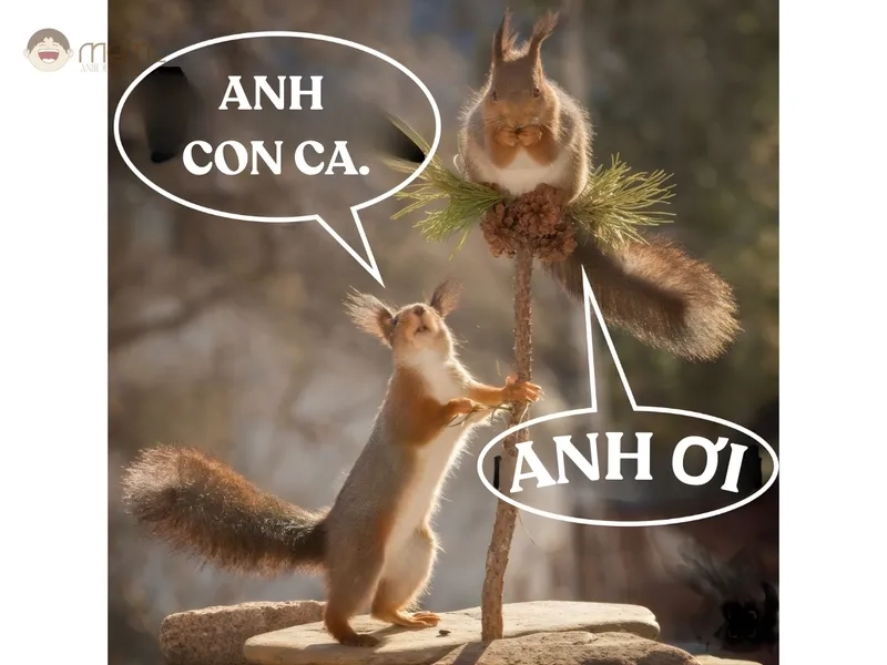 Meme con sóc bựa đang gây bão cộng đồng mạng