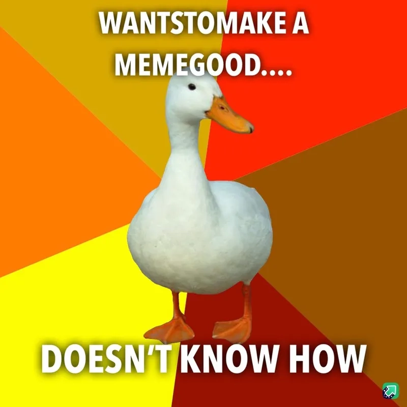 Xu hướng meme con vịt TikTok đang rất hot