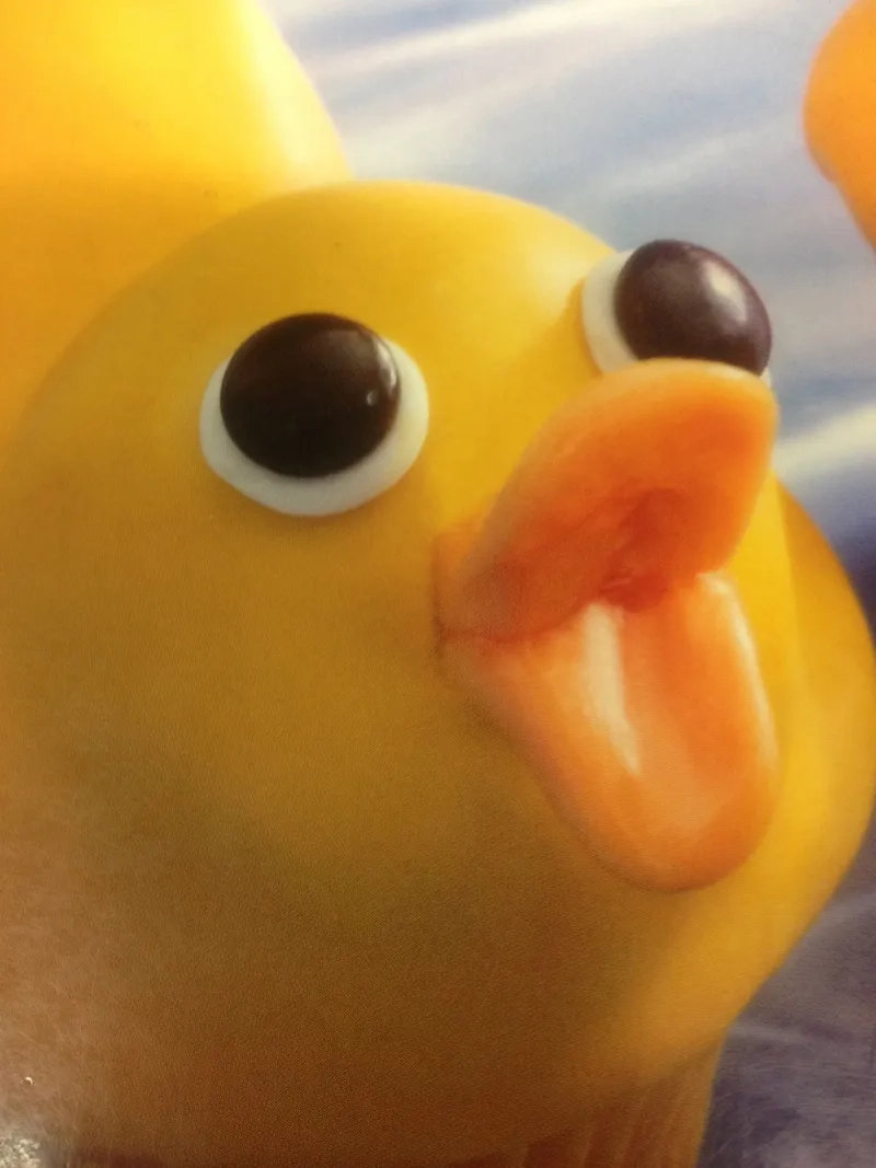 Cười sảng khoái với meme con vịt hài hước lắm