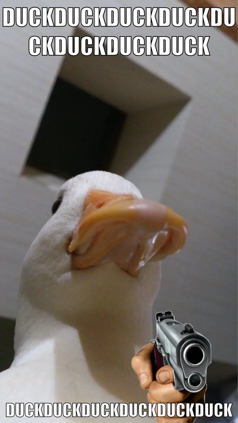 Meme con vịt cute này khiến ai cũng phải thả tim