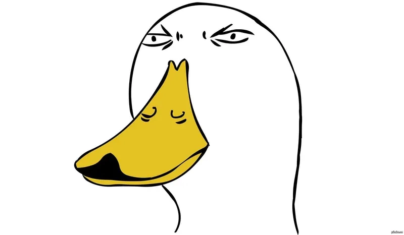 Meme con vịt bựa đang gây bão cộng đồng mạng