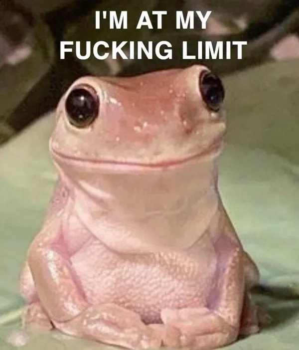 Bắt trend nhanh cùng meme ếch chế trend mới nhất