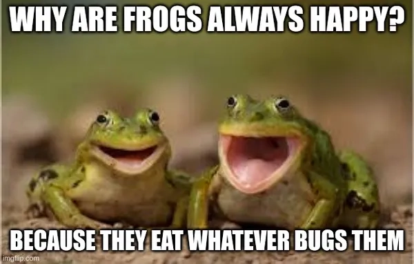 Thả tim cho meme ếch cười ngộ nghĩnh siêu vui vẻ