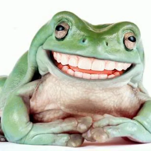 Meme ếch cười đáng yêu khiến bạn không nhịn được cười