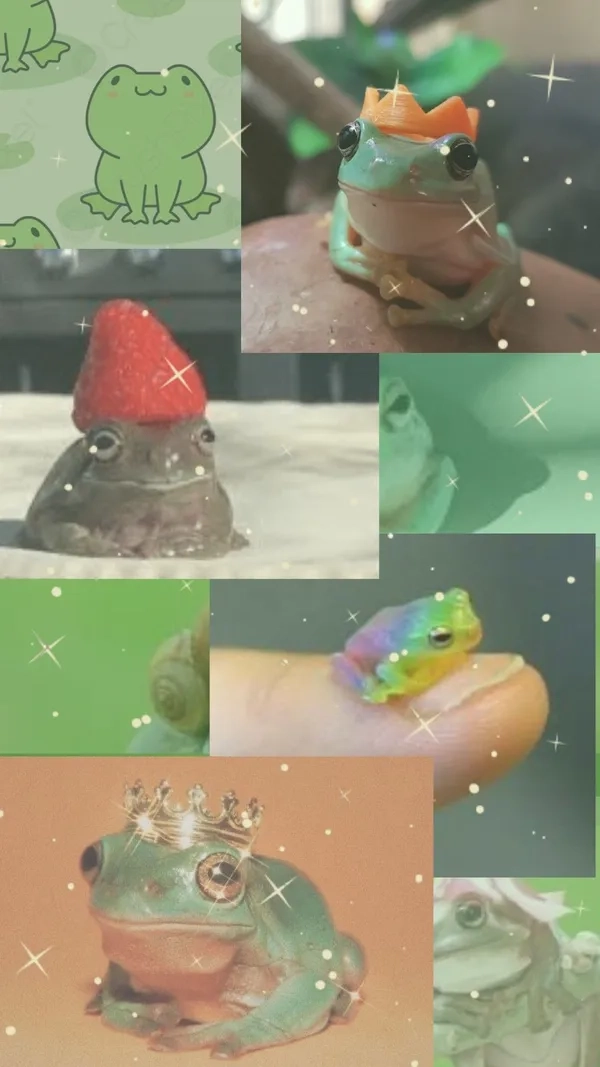 Meme ếch đáng yêu siêu cute cho các tín đồ mạng xã hội