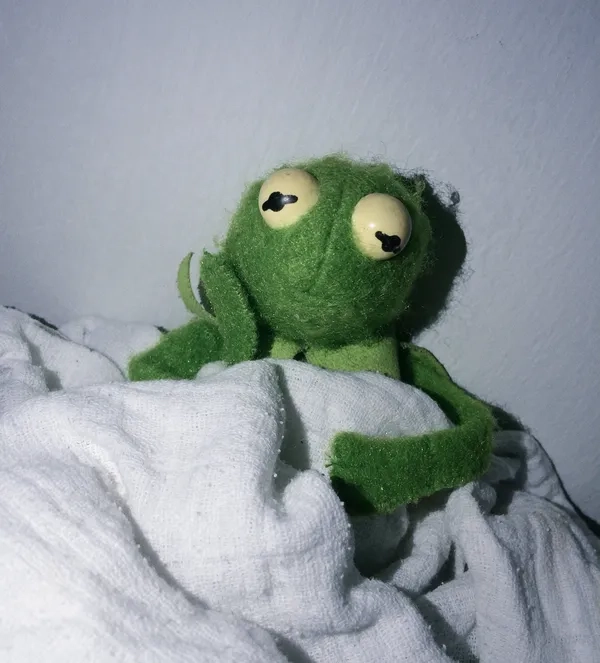 Ếch xanh cute dễ thương khiến ai cũng muốn lưu ảnh