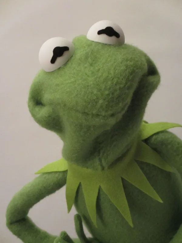 Meme ếch ngộ nghĩnh đáng yêu làm bạn cười nghiêng ngả