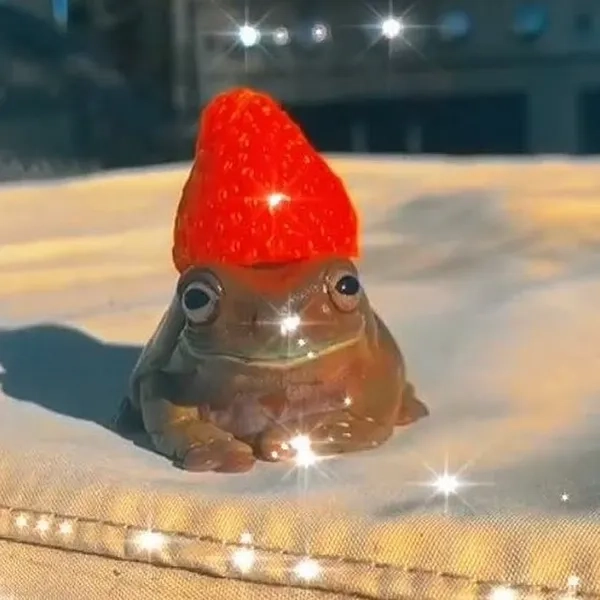 Meme ếch biểu cảm ngộ nghĩnh đáng yêu cho mọi khoảnh khắc