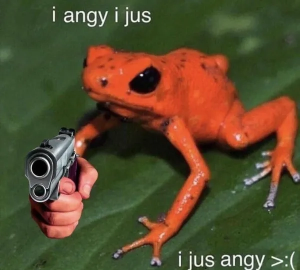 Meme ếch nổi tiếng viral khắp các nền tảng online
