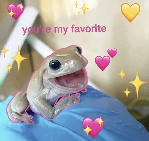 Meme ếch online siêu hài và dễ lan truyền trên mạng