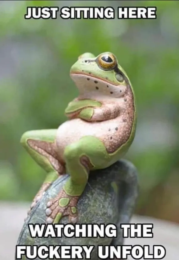 Meme ếch TikTok nổi bật và viral nhanh chóng